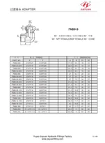 Penelin Swivel BSP Benywaidd NPT